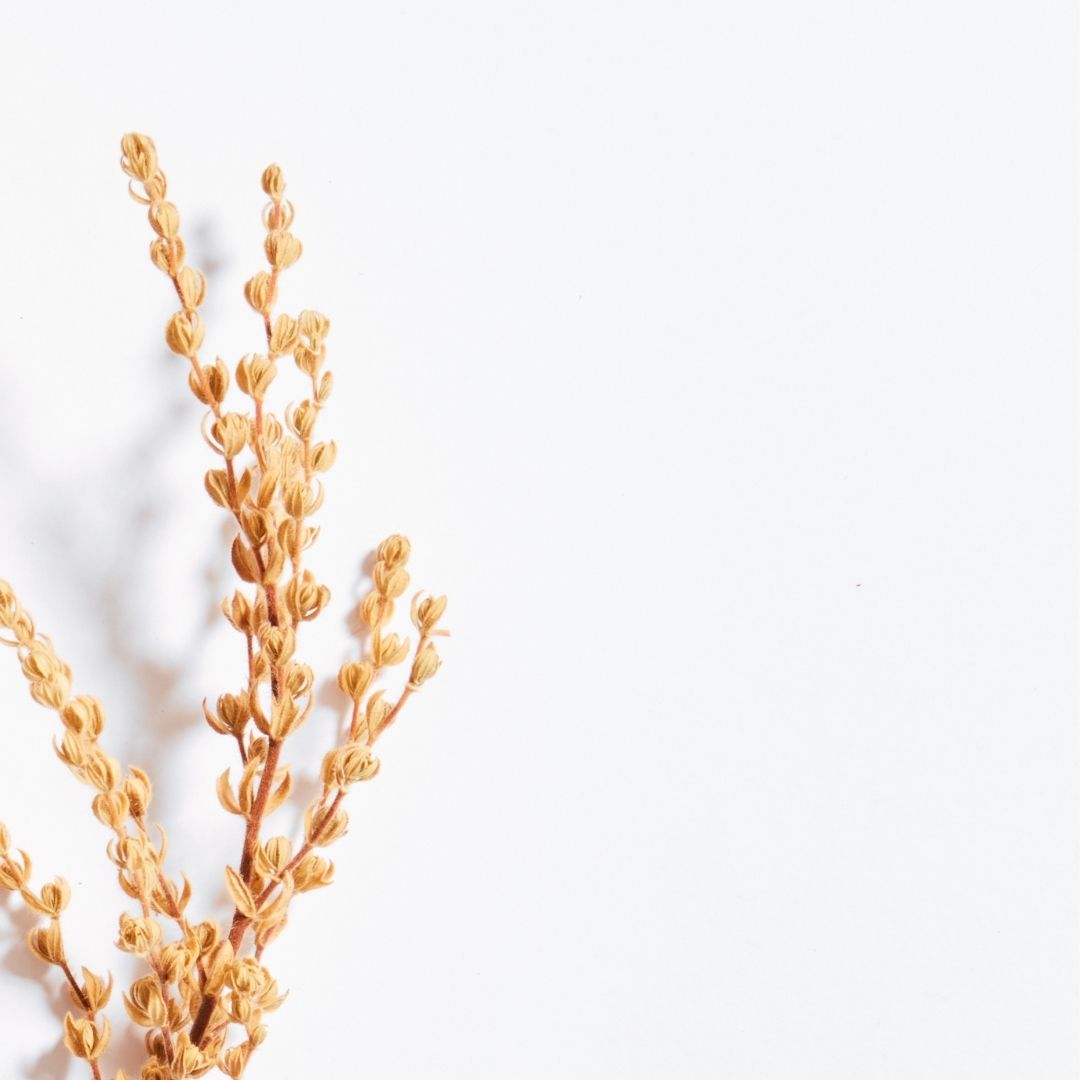 The Importance of Supporting Local Businesses: Why Le Naturel is the Perfect Choice
