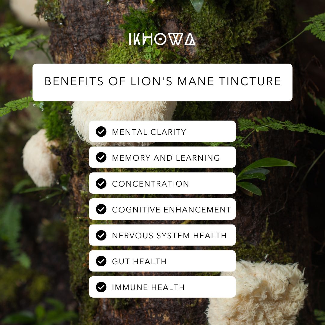 IKHOWA Lion's Mane Tincture - Le Naturel 